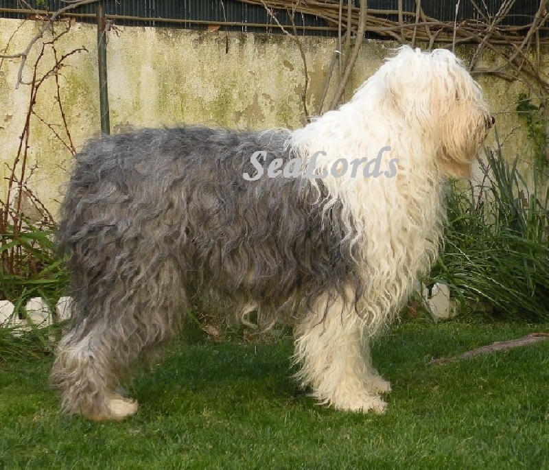 Firstchoice (Sans Affixe)