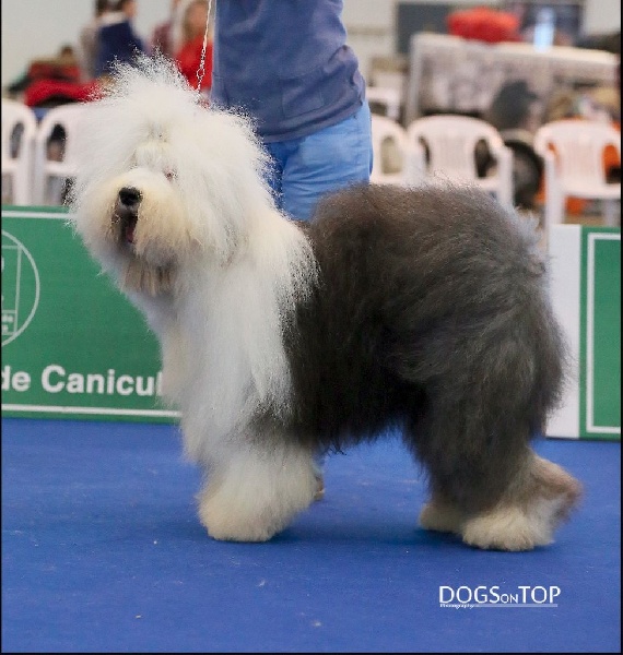 CH. Sealords Quantum leap