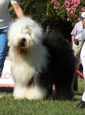 Sealords - Résumé de l'année 2010